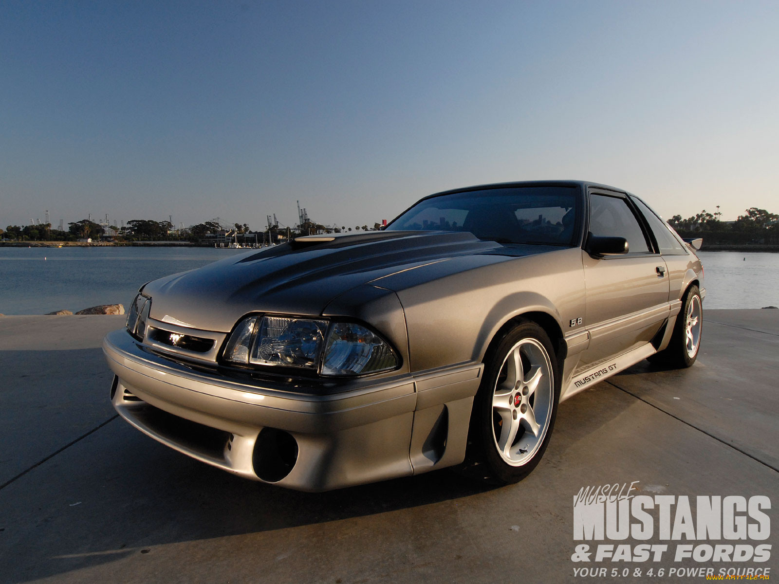, mustang